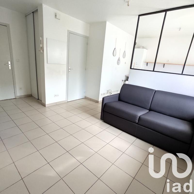 Studio - 24 m² - 1 pièce