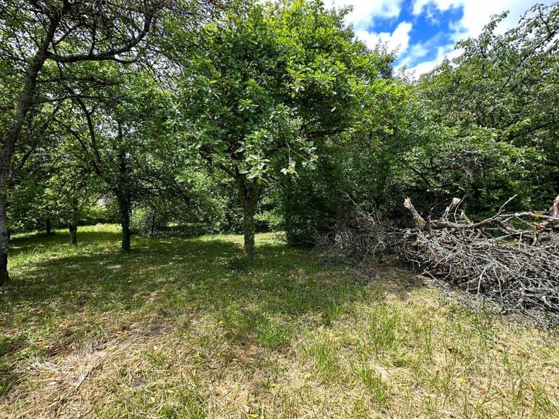 Terrain constructible - 956 m²