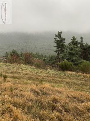 Terrain de loisirs - 3 200 m²