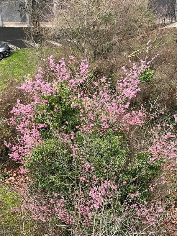 Appartement - 73 m² - 3 pièces