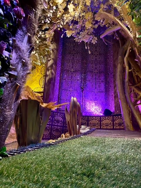 Nocturnes à la Maison Parra