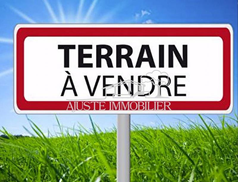Terrain constructible - 1 338 m²