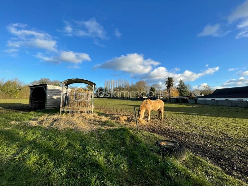 Maison - 103 m² - 6 pièces