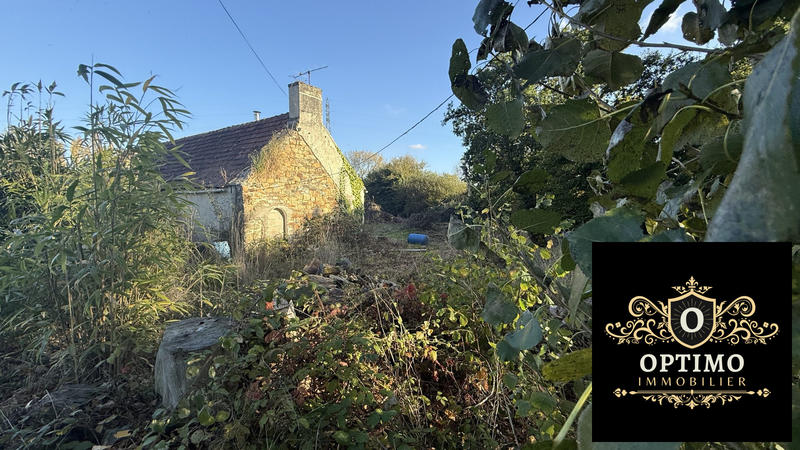 Maison ancienne - 65 m² - 3 pièces