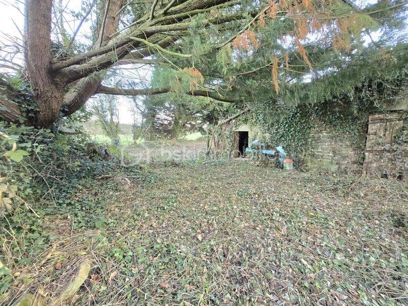 Maison en pierre - 116 m² - 3 pièces