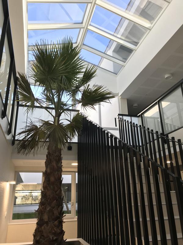 Appartement - 52 m² - 2 pièces