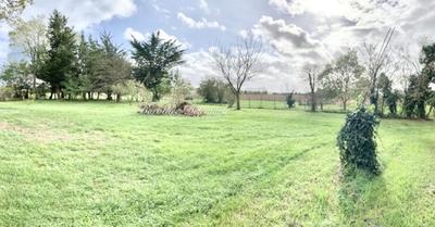 Terrain constructible - 2 446 m²