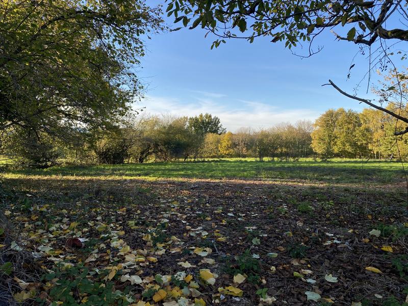 Maison - 90 m² - 3 pièces