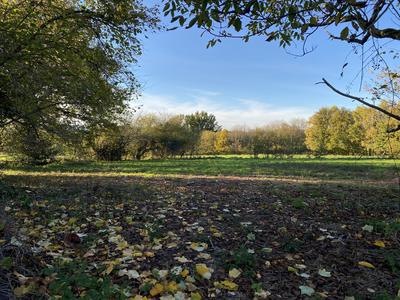 Maison - 90 m² - 3 pièces