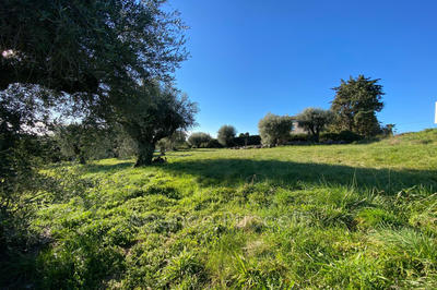 Terrain - 1 002 m²
