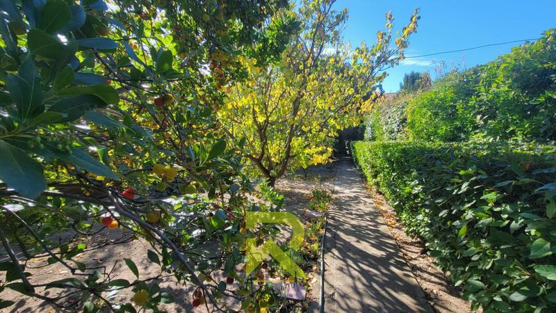 Maison - 169 m² - 8 pièces