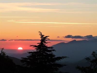 Hôtel particulier - 395 m² - 14 pièces