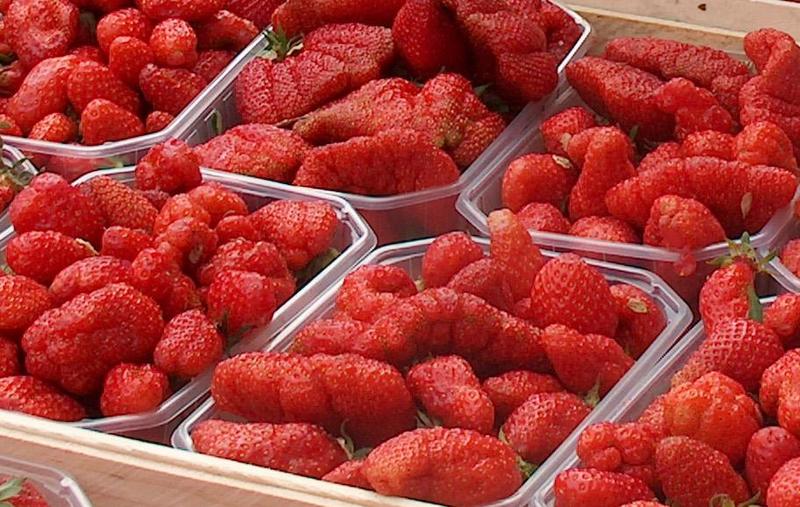 Marché traditionnel de Prayssas