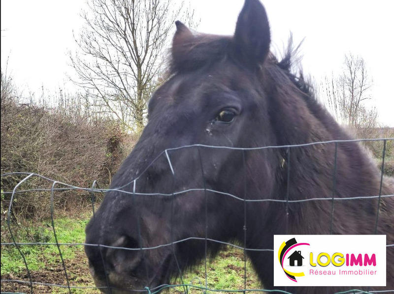 Maison de campagne - 120 m² - 6 pièces