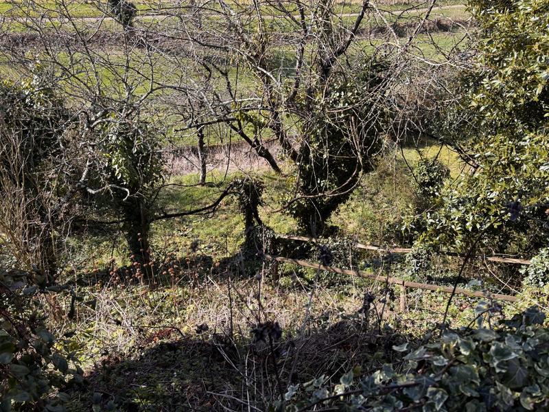 Maison - 80 m² - 5 pièces