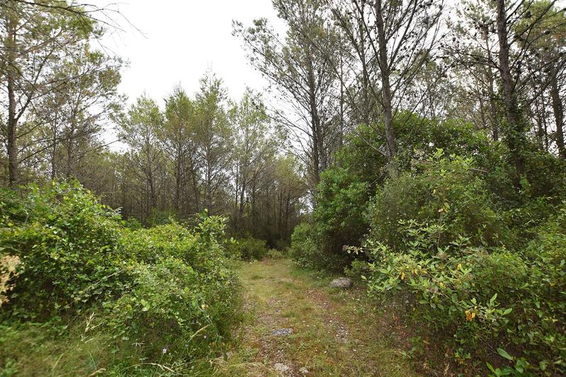 Terrain agricole - 2 005 m²