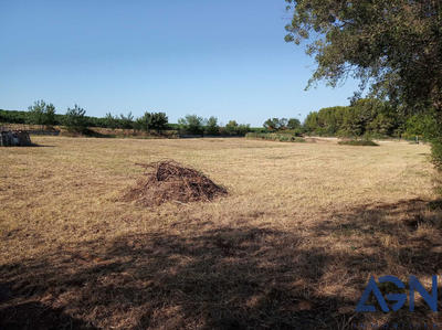 Terrain agricole - 6 209 m²