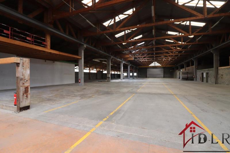 Local d'activité / Entrepôt - 22 000 m²