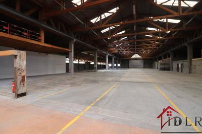 Local d'activité / Entrepôt - 22 000 m²
