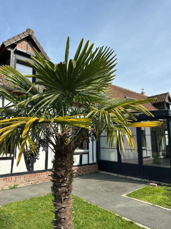 Maison - 132 m² - 5 pièces