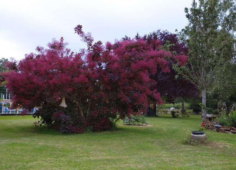 Maison - 149 m² - 7 pièces