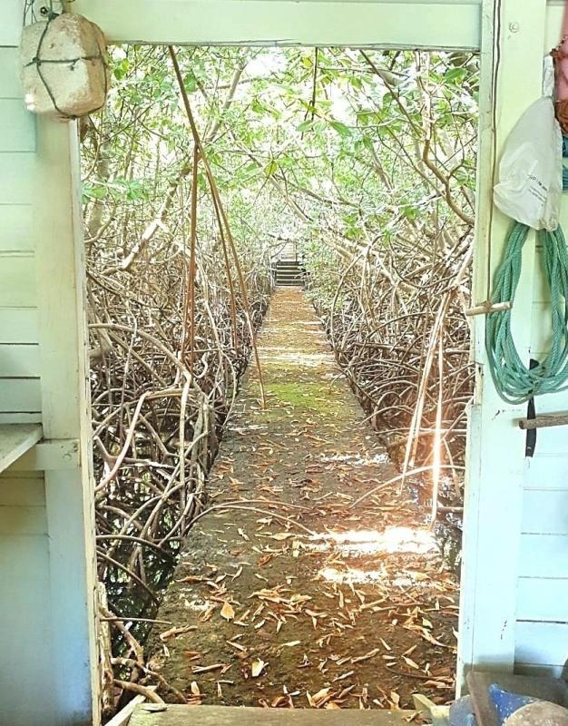 Immeuble - 957 m² - 22 pièces