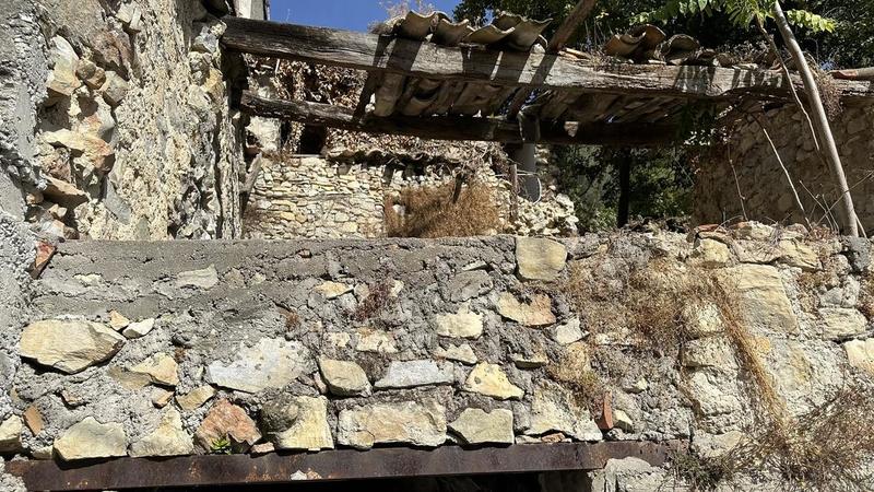 Terrain - 76 779 m²