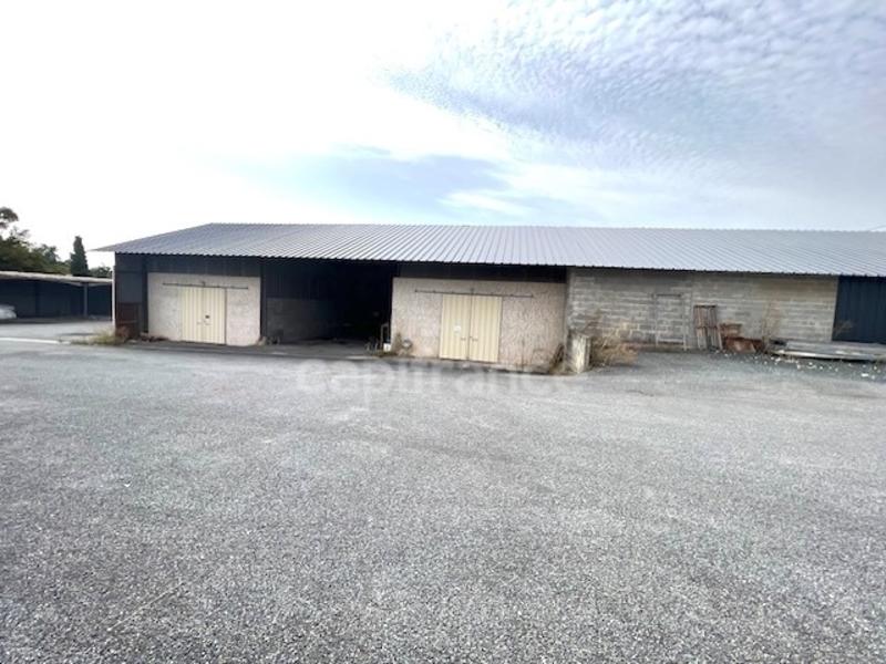 Bureau - 945 m² - 8 pièces