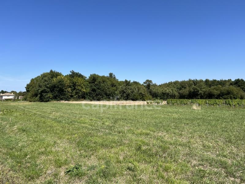 Terrain constructible - 766 m²