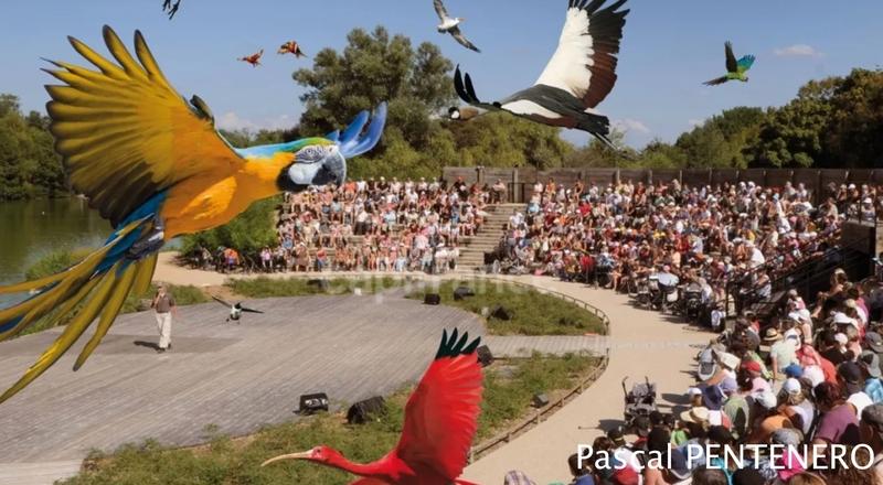 Appartement ancien - 63 m² - 3 pièces