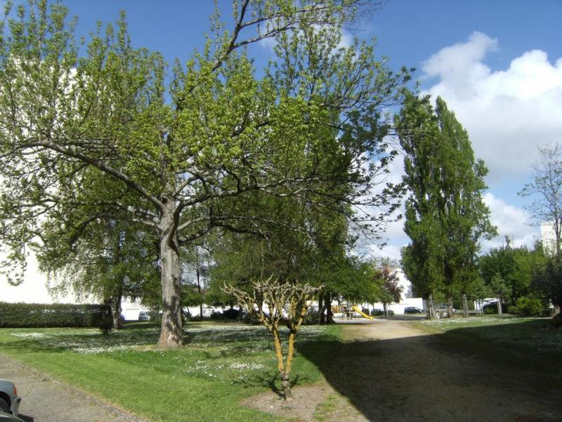 Appartement - 68 m² - 4 pièces