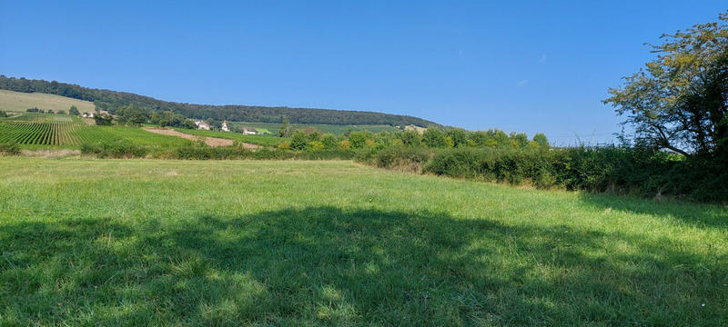Terrain - 797 m²