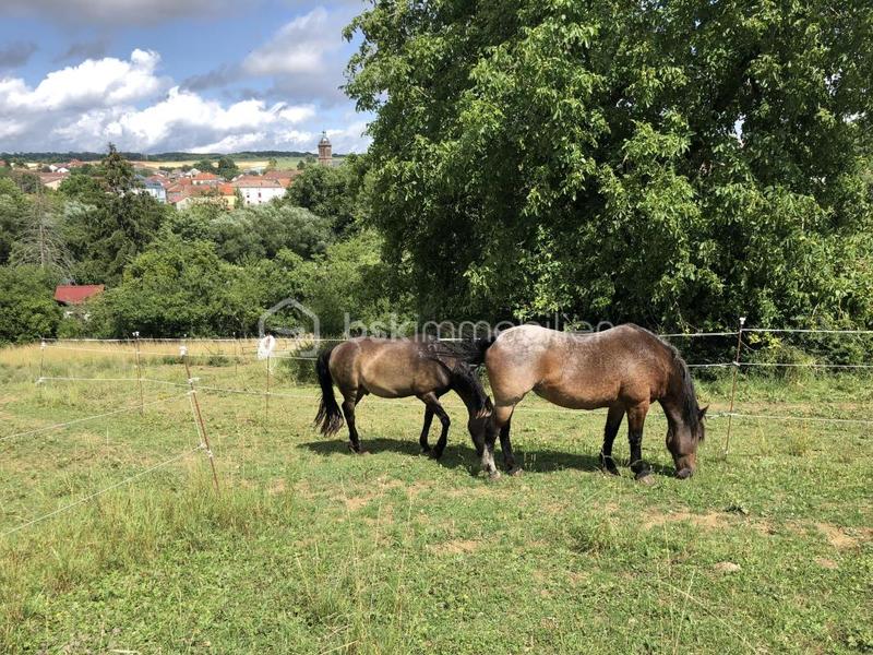 Grange - 280 m² - 1 pièce