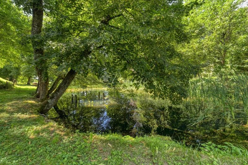 Maison - 500 m² - 10 pièces