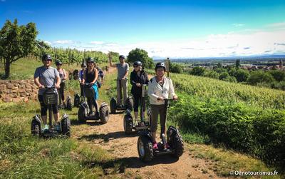 Segway Alsace, gyropode dans le vignoble