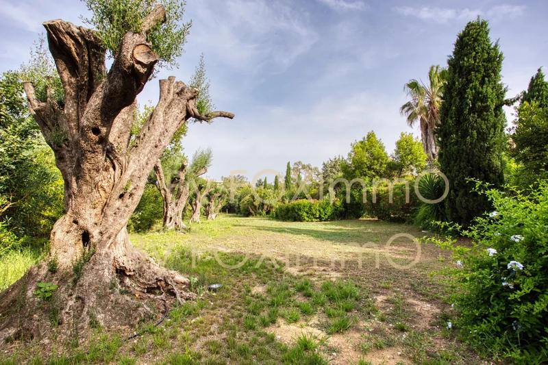 Propriété - 267 m² - 11 pièces