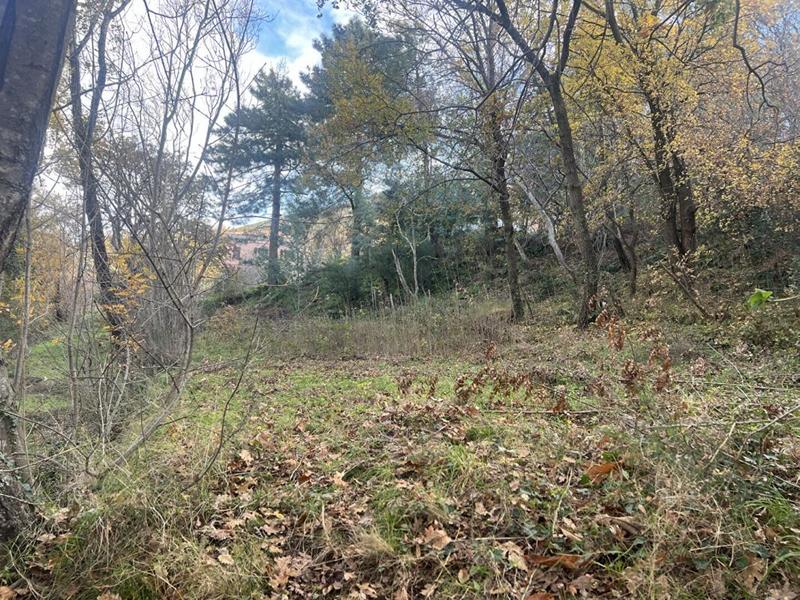 Terrain constructible - 2 000 m²