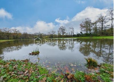 Terrain de loisirs - 9 100 m²