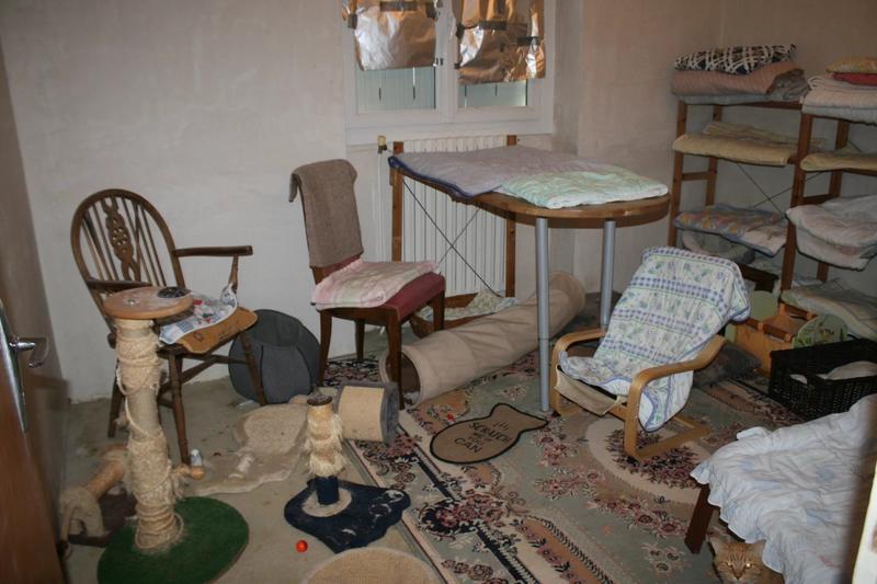 Maison - 117 m² - 5 pièces