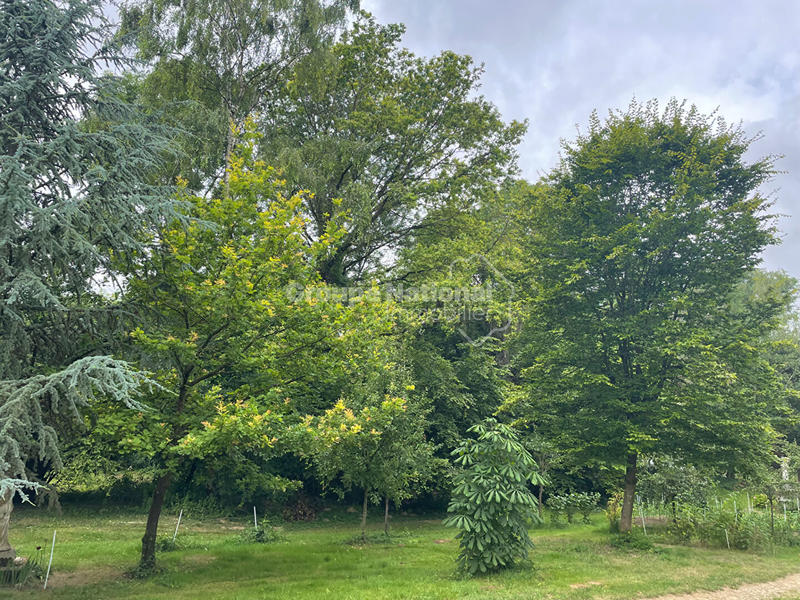 Maison - 310 m² - 7 pièces