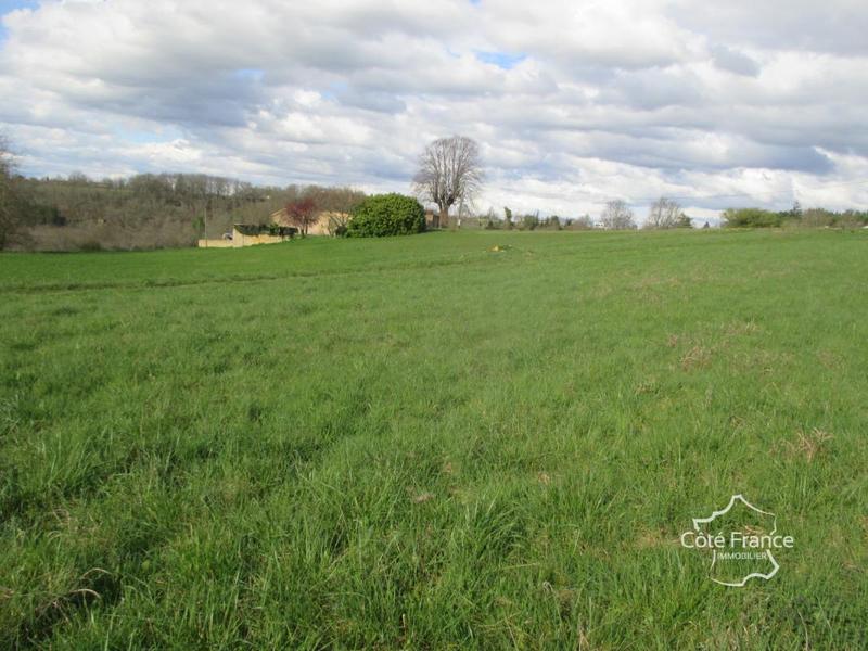 Terrain constructible - 3 000 m²