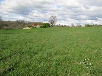 Terrain constructible - 3 000 m²