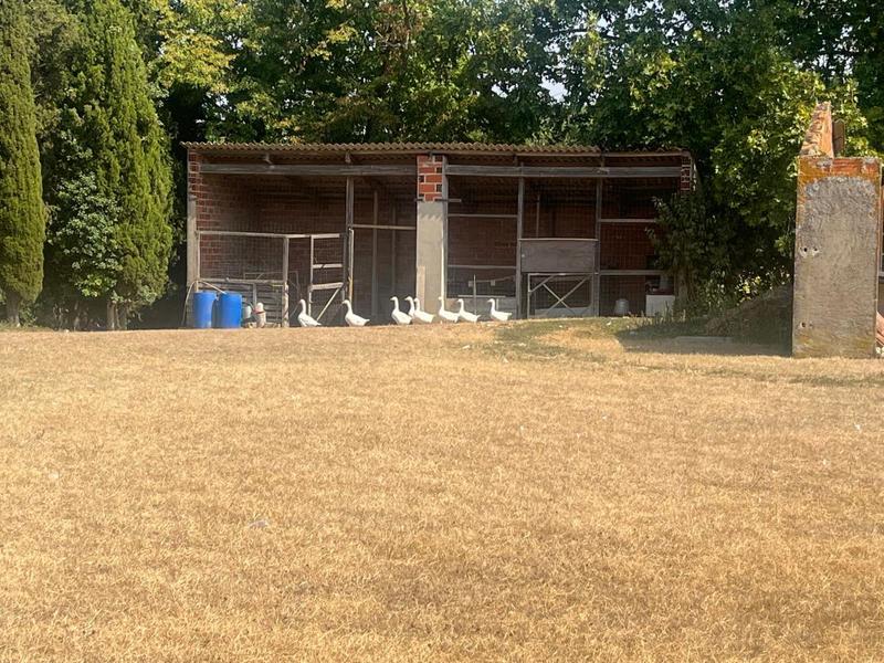 Maison - 220 m² - 7 pièces