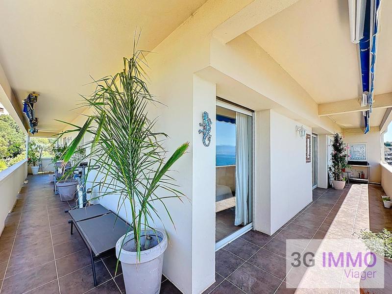 Viager - Appartement - 116 m² - 4 pièces