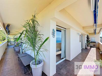 Viager - Appartement - 116 m² - 4 pièces