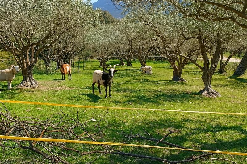 Maison - 151 m² - 4 pièces