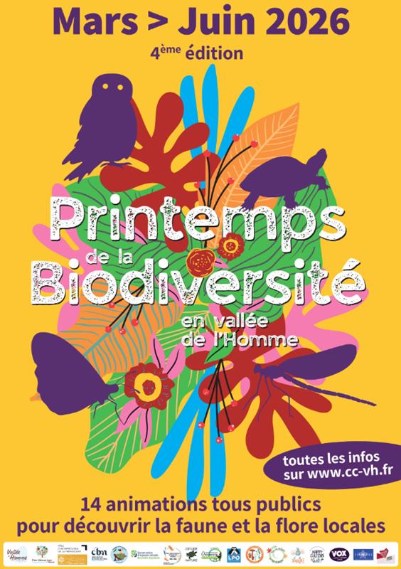 Printemps de la biodiversité - Balade botanique et initiation à la reliance végétale