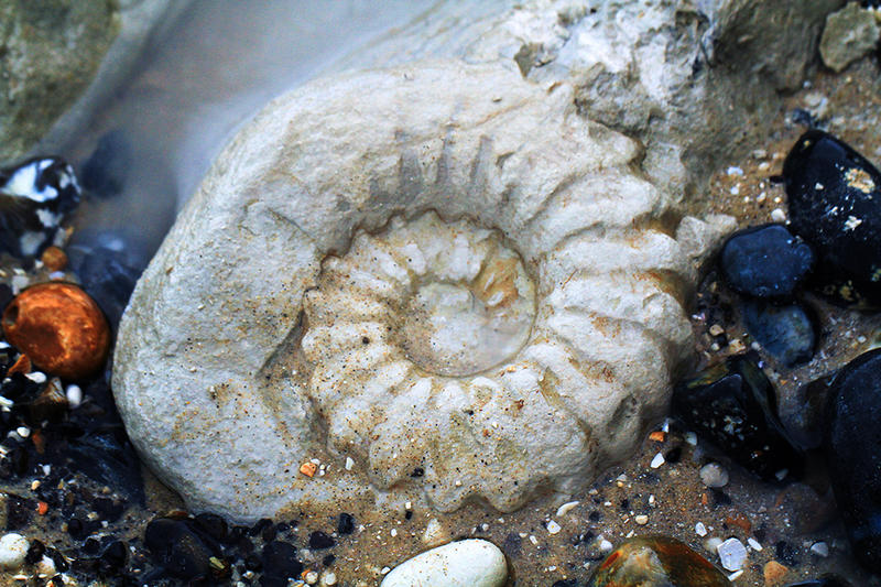 Cap Blanc-Nez - le secret des roches