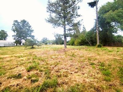 Terrain constructible - 1 564 m²