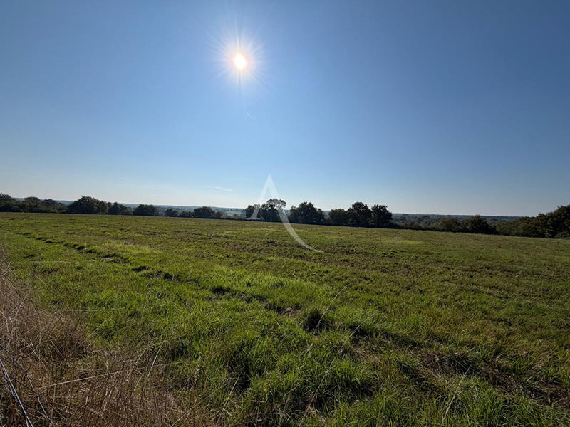 Maison - 198 m² - 5 pièces